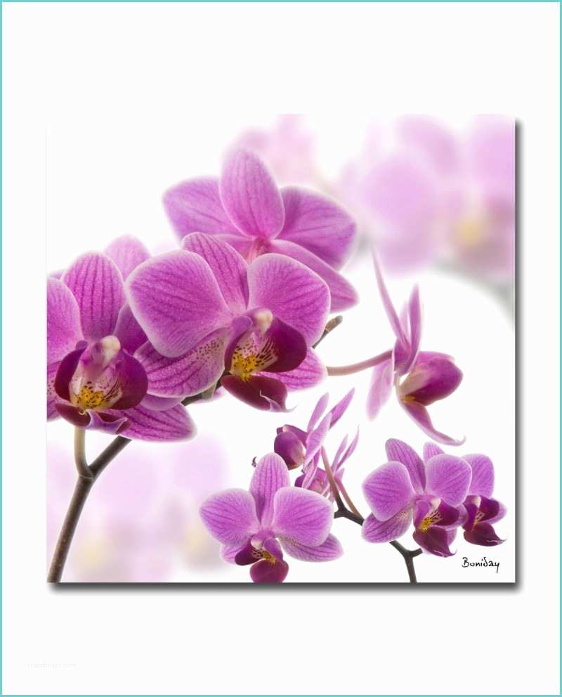 Tableau Plexiglass Zen Tableau Plexiglass orchidée Violette Boniday Imprimeur D