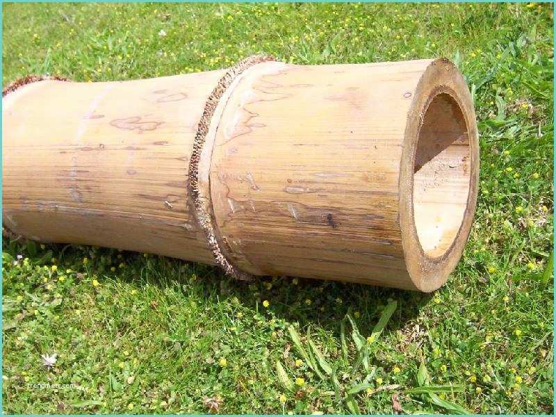 Tige De Bambou Naturel Bobamboo Produits Tiges De Bambou