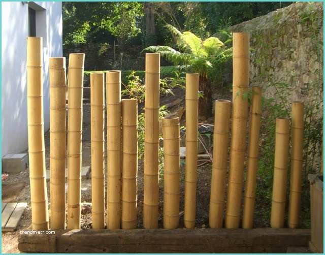 Tige De Bambou Naturel Clôture En Bambou Pour Une touche orientale Dans Le Jardin