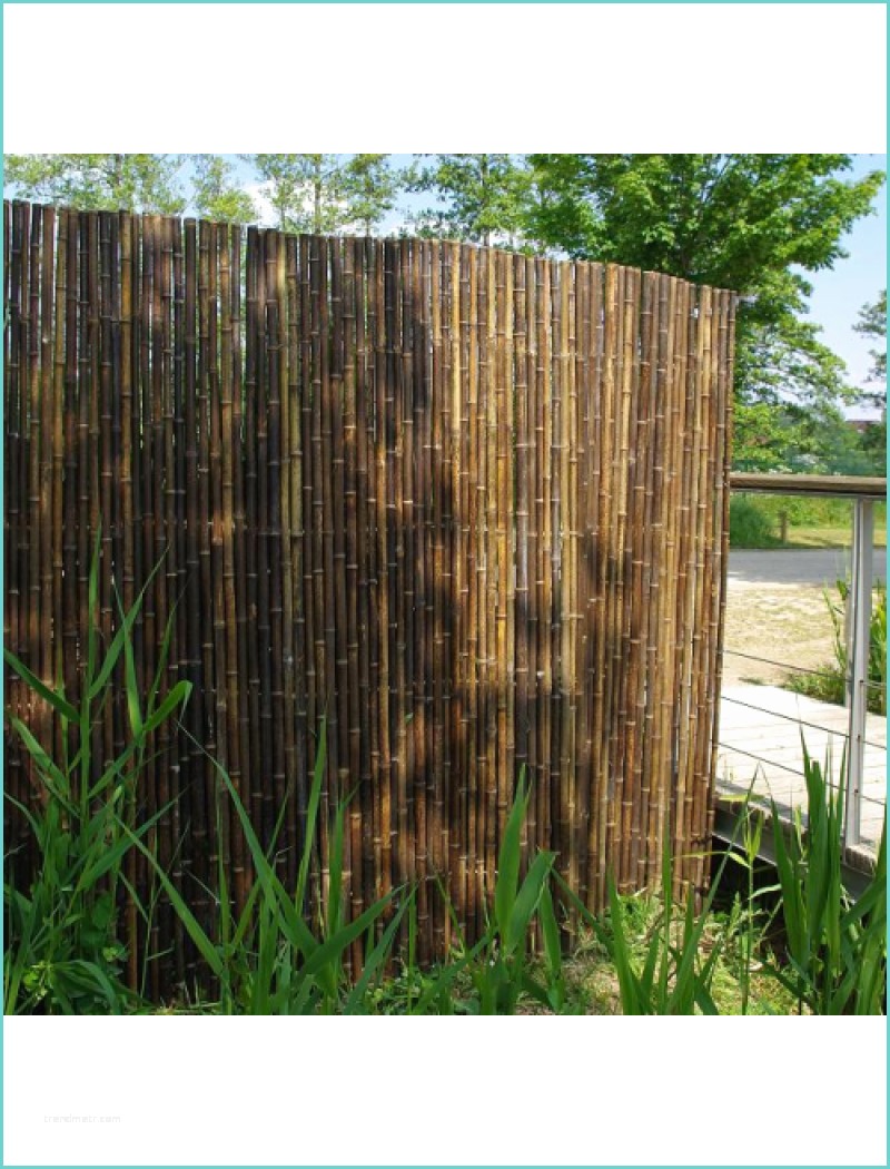 Tige De Bambou Naturel Cloture Jardin Brise Vue En Bambou Noir Naturel
