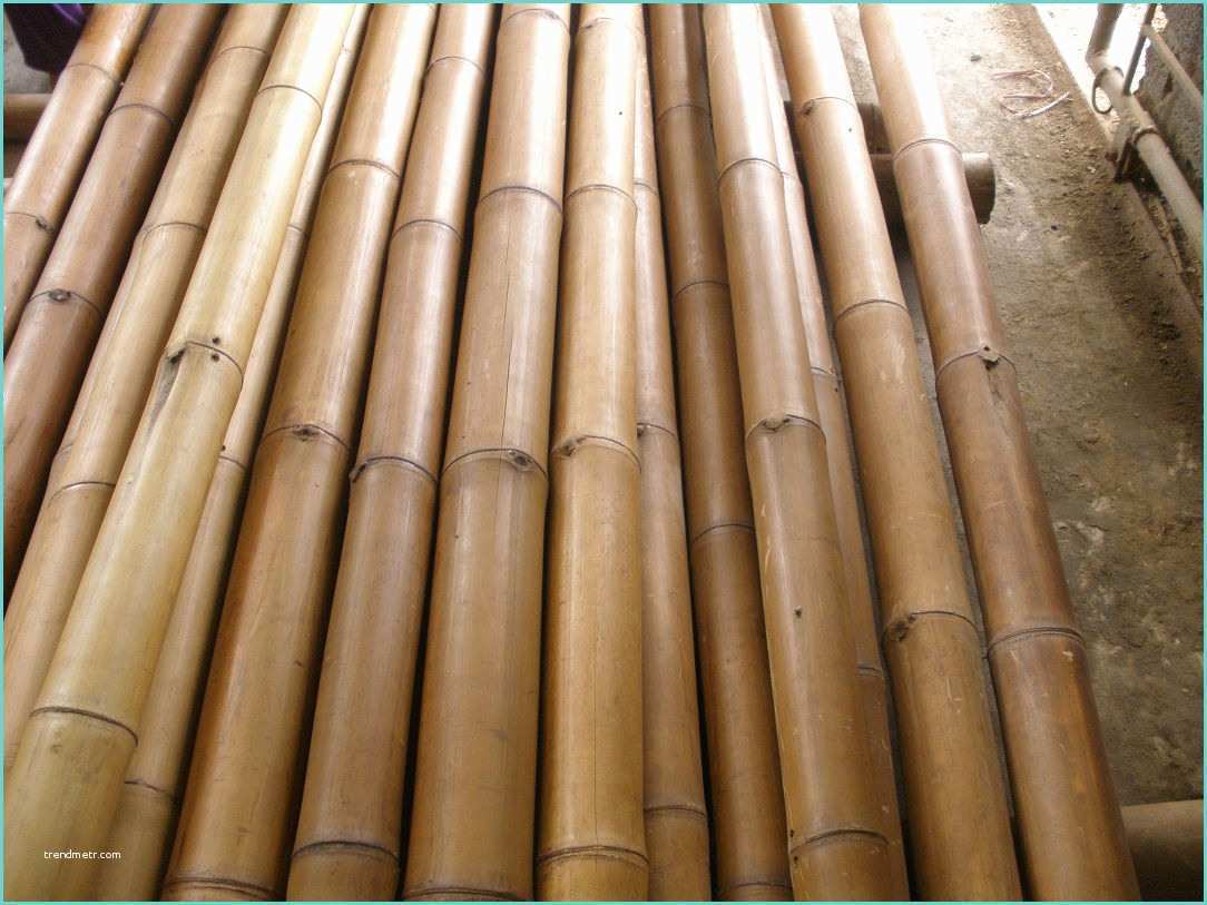 Tige De Bambou Naturel Clotures Brise Vue Bambou Bambou Grossiste