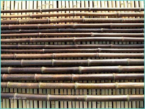 Tige De Bambou Naturel Tige De Bambou O 2 Cm Noir Naturel 4 00 M