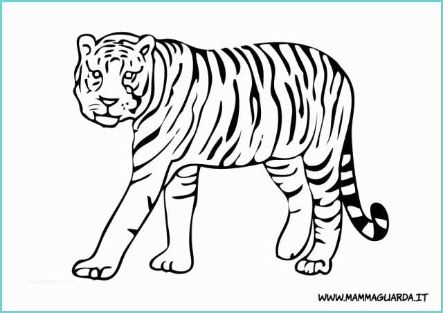Tigre Da Colorare Per Bambini Mammaguarda Tigri Da Colorare