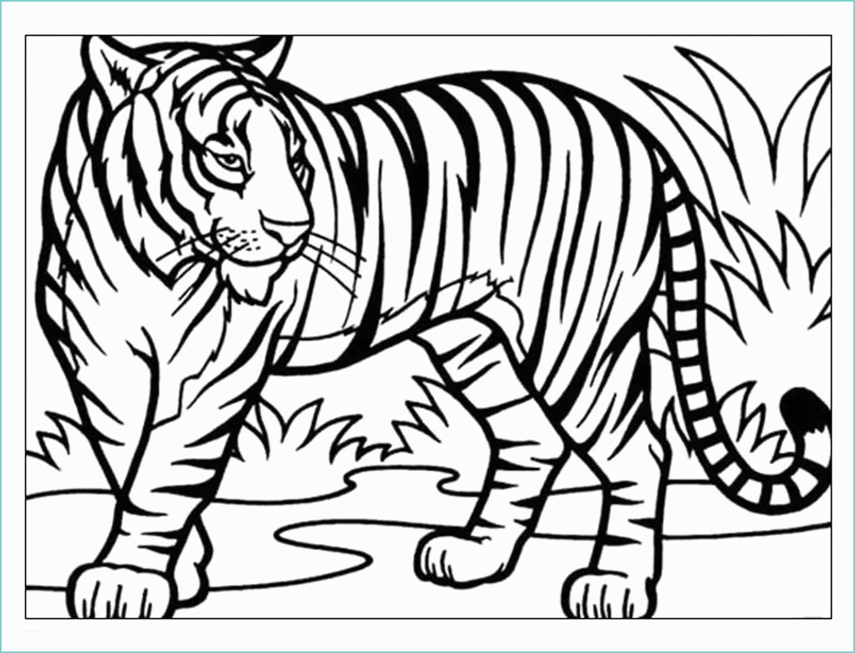 disegni da colorare tigre
