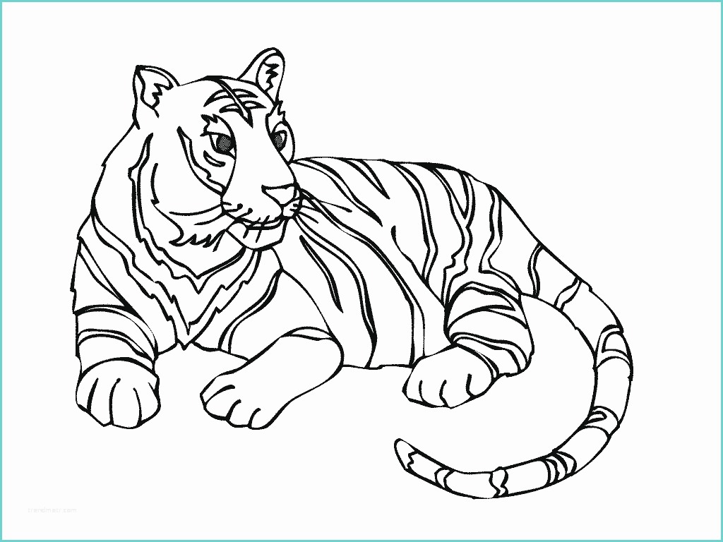 Tigre Da Colorare Per Bambini Tigre 16 Animaux – Coloriages à Imprimer