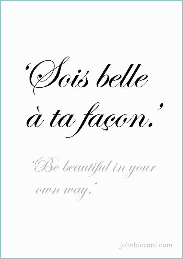 To Me You are Perfect Traduction 25 Best French Quotes On Pinterest