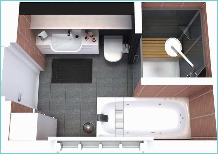 Toilette Et Douche Moderne Agencement Salle De Bain De 2 à 5 M ² Ment Maîtriser