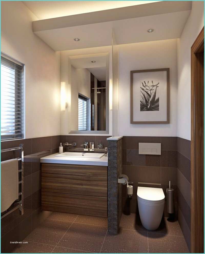 Toilette Et Douche Moderne Petite Salle De Bains Avec Wc 55 Idées De Meubles Et Déco