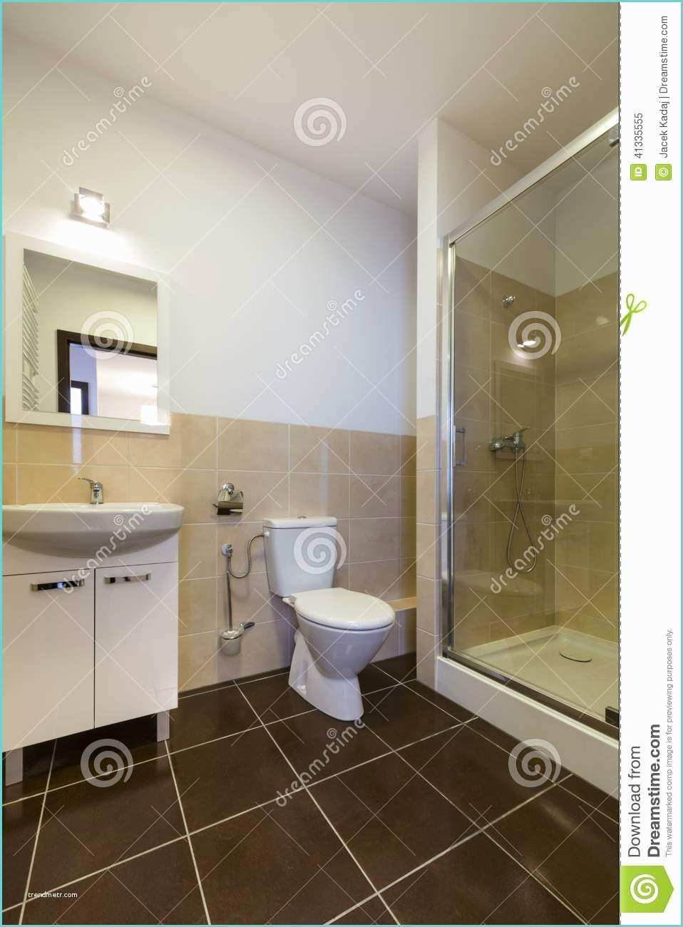 Toilette Et Douche Moderne Salle De Bains Moderne Avec Les éviers La toilette Et La