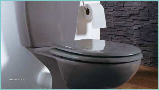 Toilette Gris Et Blanc astuces toilettes Gris
