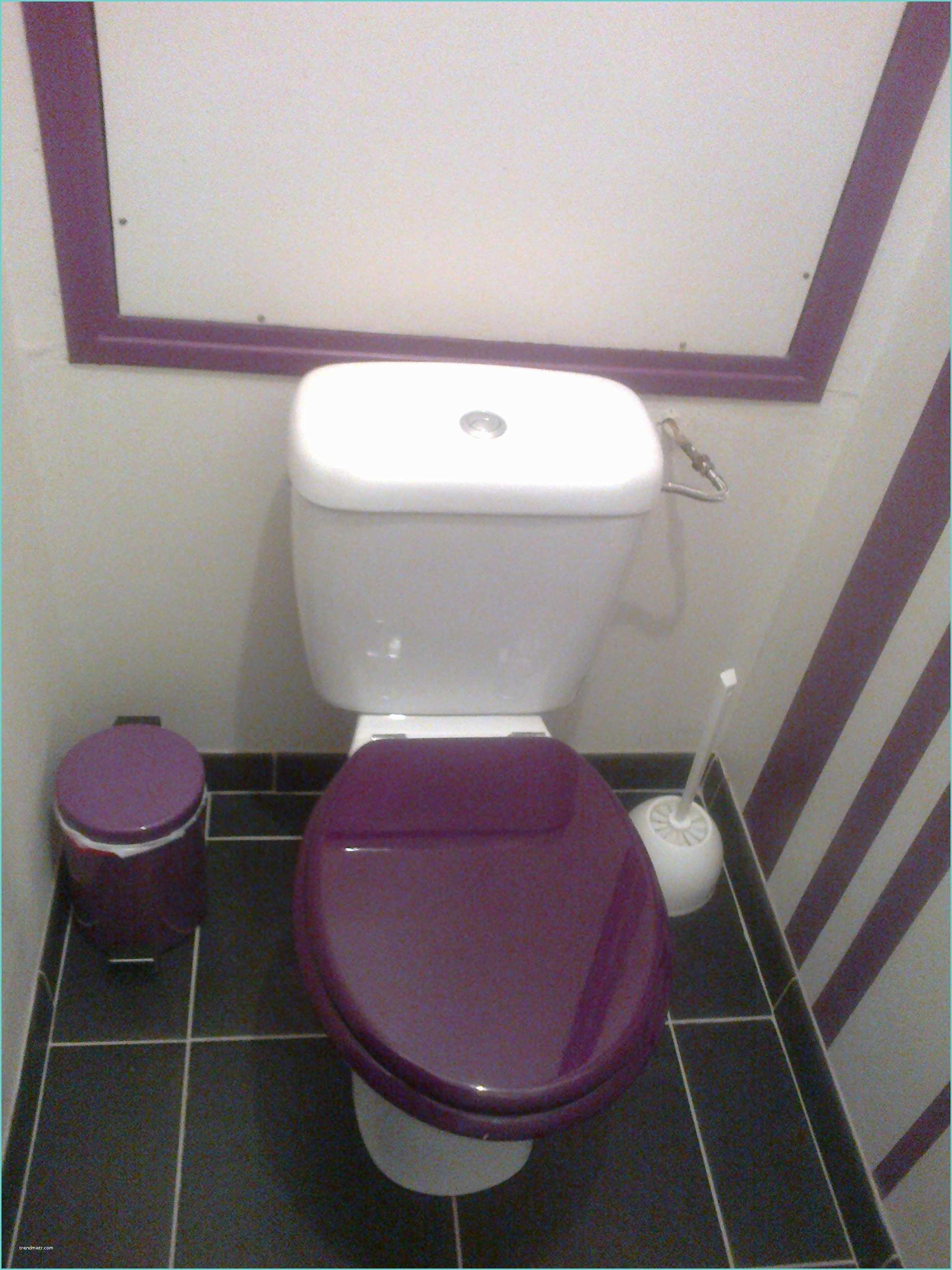 Toilette Gris Et Blanc Déco toilettes Prune Et Gris