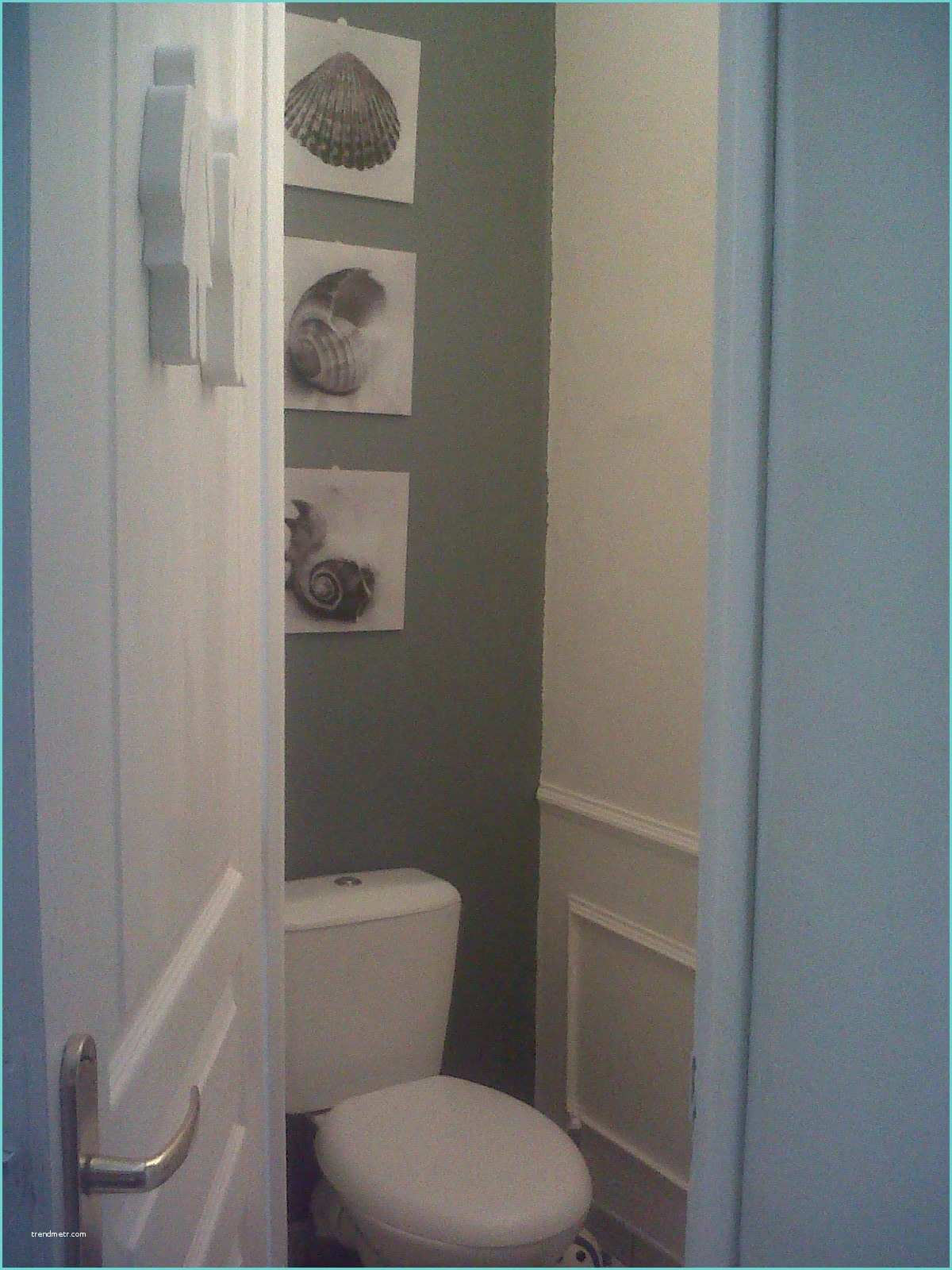 Toilette Gris Et Blanc Decoration Wc Gris Et Blanc