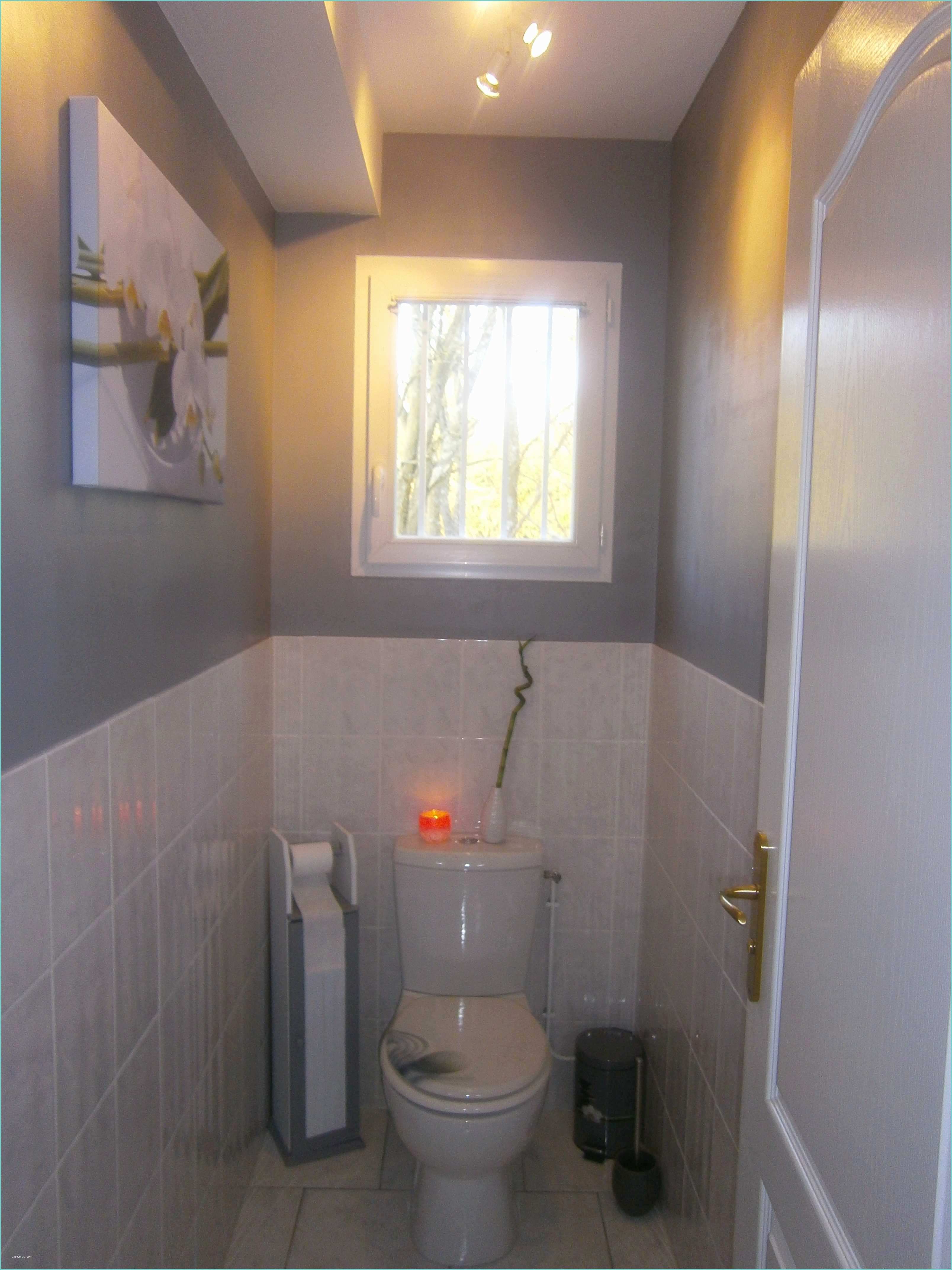 Toilette Gris Et Blanc Enchanteur Deco toilette Gris Et Best toilette Wc Stylas