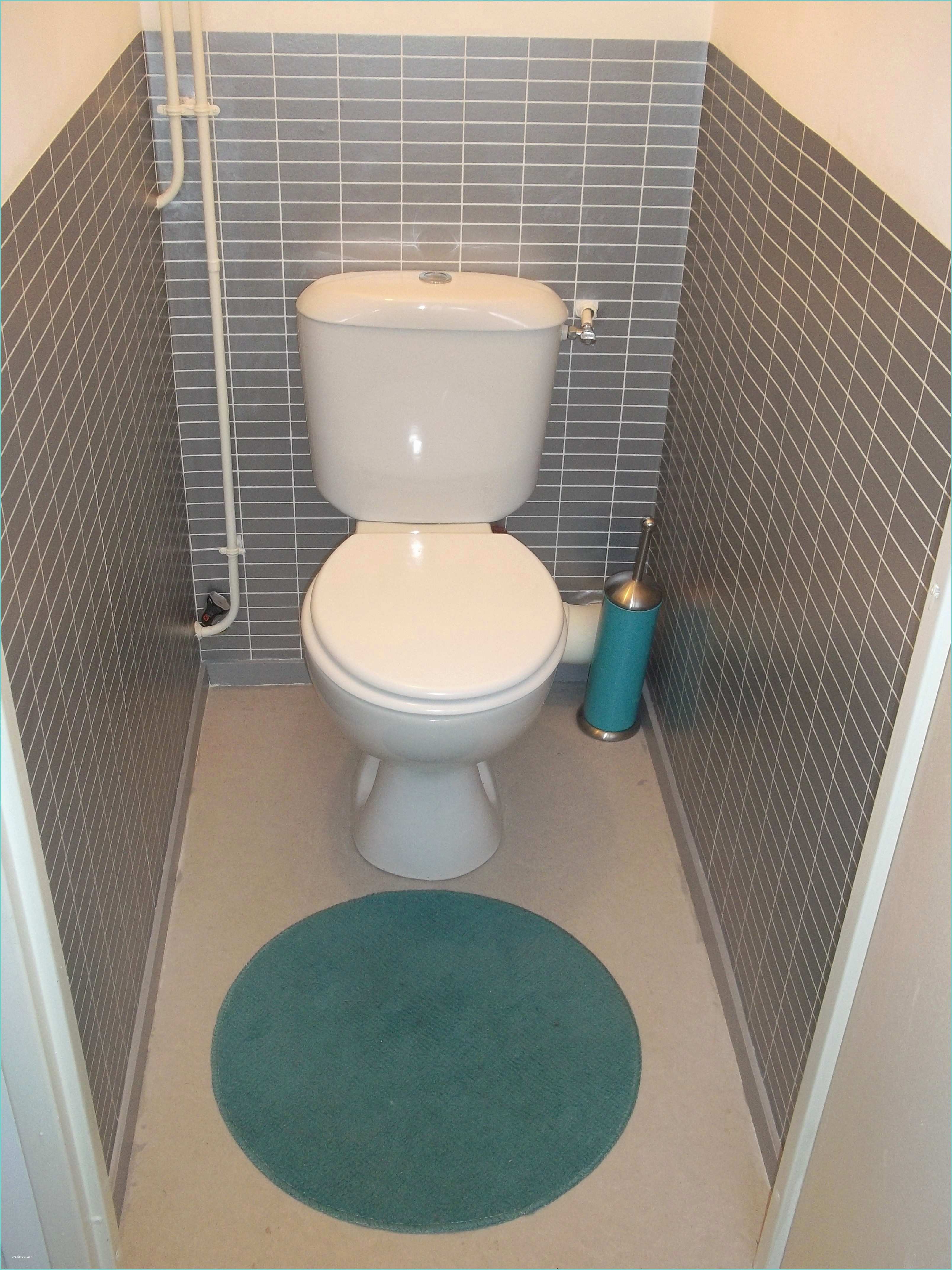 Toilette Gris Et Blanc Idee Papier Peint toilette Avec Emejing Idee Couleur