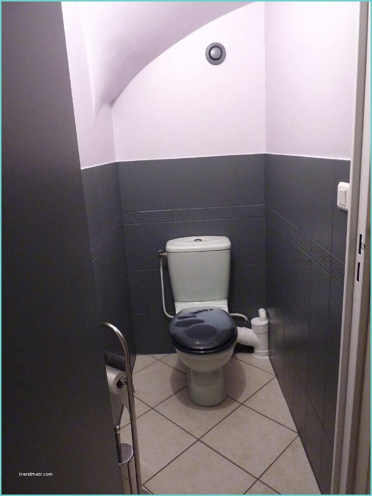 Toilette Gris Et Blanc toilette Couleur Beige
