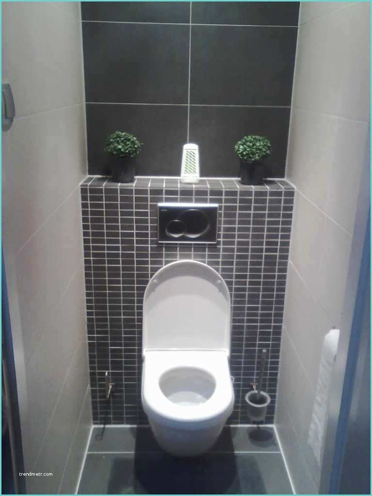 Toilette Gris Et Blanc toilette Gris Et Bleu Excellent Deco toilette Taupe tours