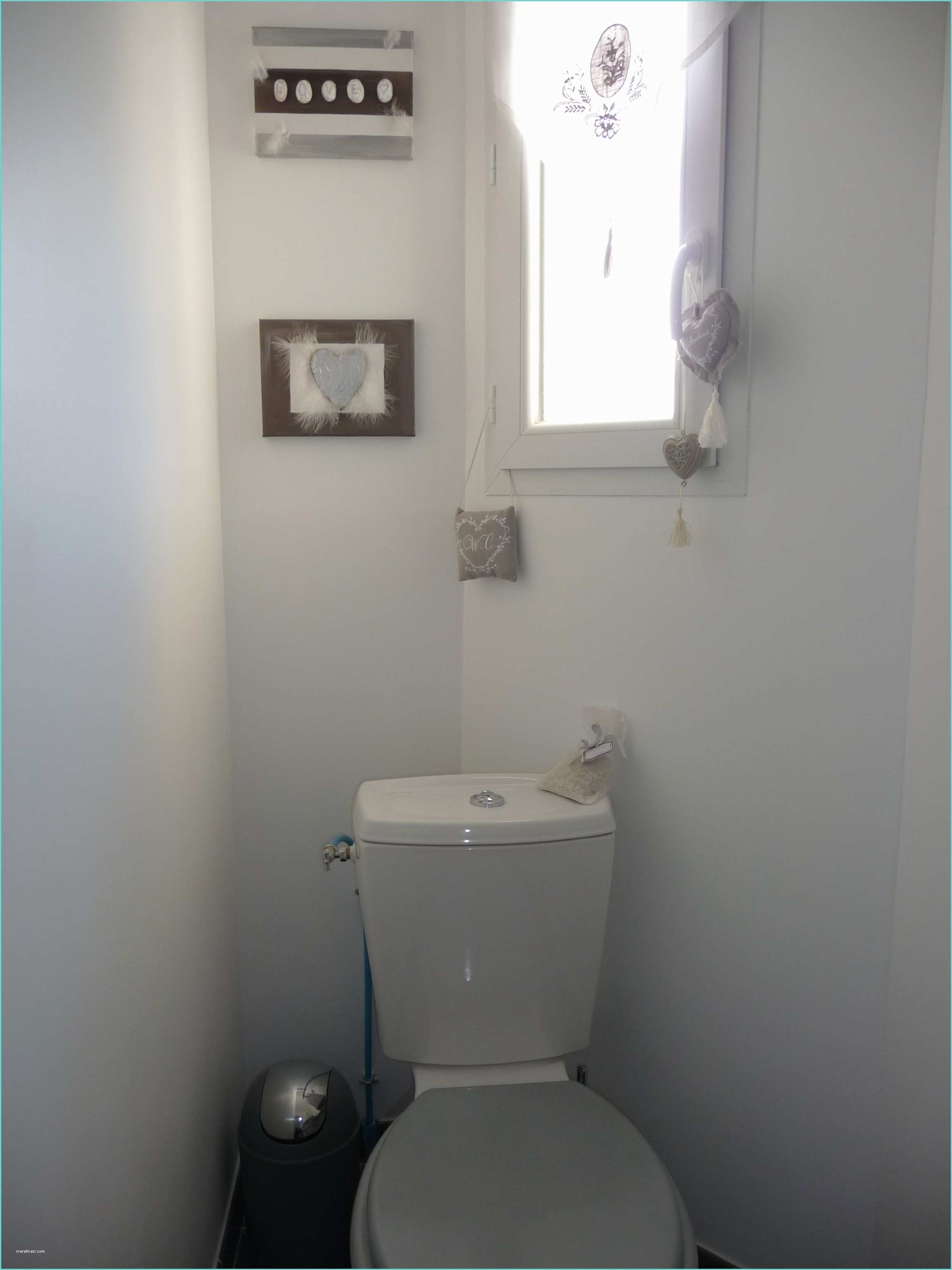 Toilettes Gris Et Blanc Mes W C Photo 1 8