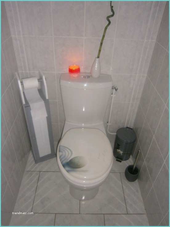 Toilettes Gris Et Blanc Rénovation De Nos Wc Photo 16 17