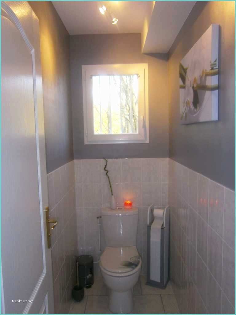 Toilettes Gris Et Blanc Wc Gris D Co Sphair Avec Deco toilette Jaune Et Gris Idees