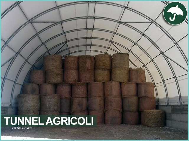 Tunnel Agricoli In Lamiera Tunnel E Capannoni Agricoli Civert