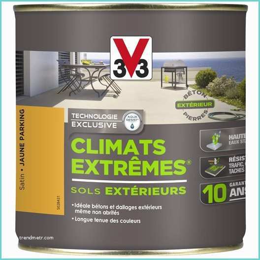 V33 Climat Extreme Peinture sol Extérieur Et Garage Peinture Sur Béton