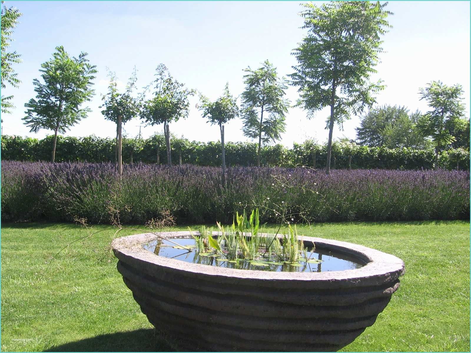 Vasque Exterieure Pour Jardin Vasques Jardin