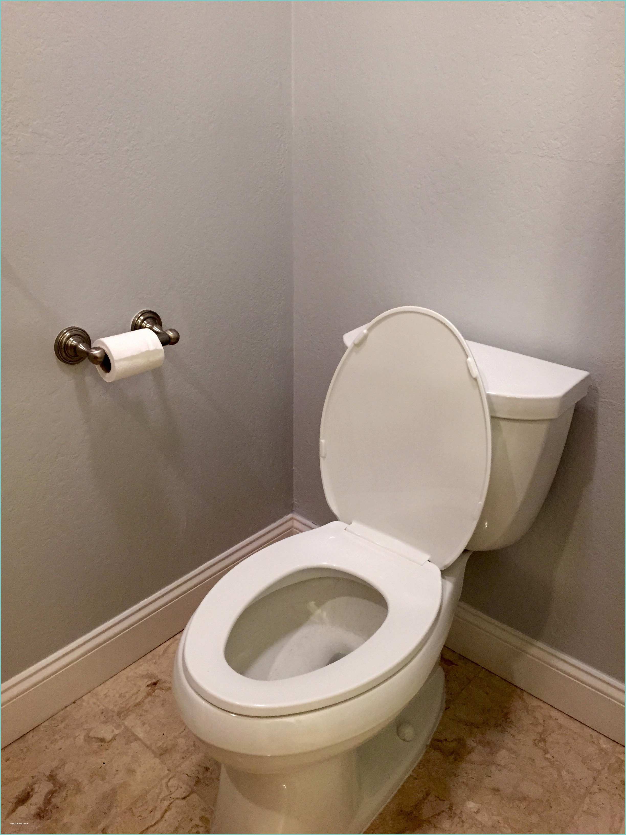 Wc Feng Shui 5 Feng Shui toilet Tips to Protect Your Luck