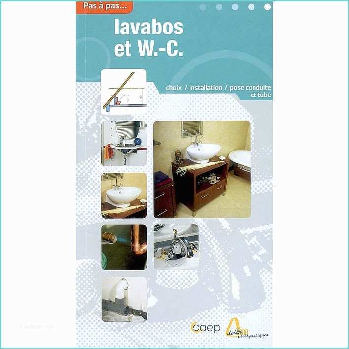 Wc Lavabo Intgr Leroy Merlin Choisir Et Installer Wc Et Lavabos Saep